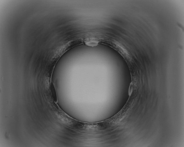 X0000094960401200711291132