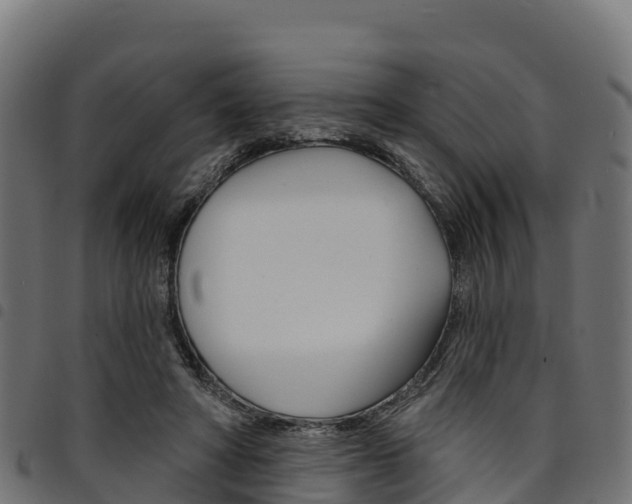 X0000094960402200711291132