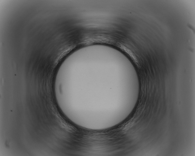 X0000094960403200711291132