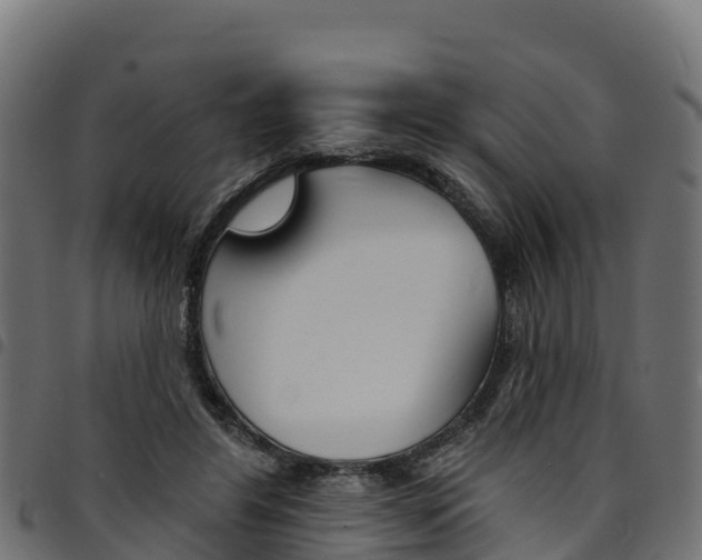 X0000094960404200711291132