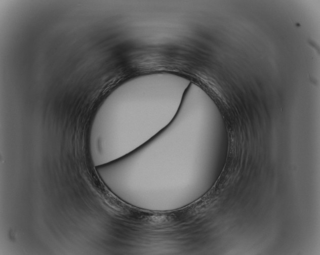 X0000094960406200711291132