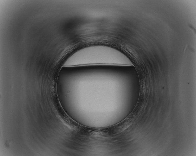 X0000094960408200711291132