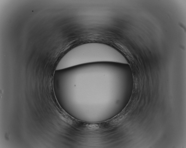 X0000094960409200711291132