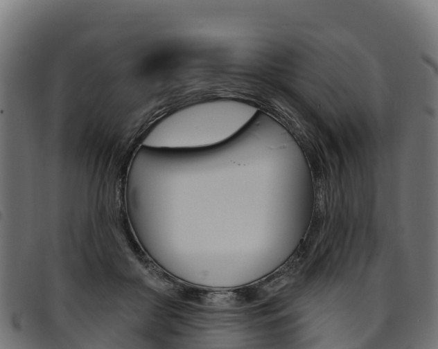 X0000094960410200711291132