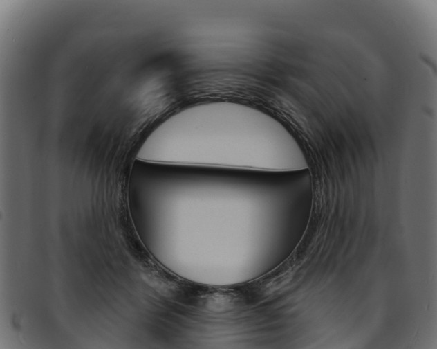 X0000094960412200711291132