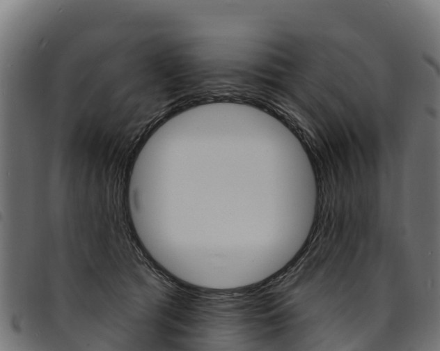 X0000094960417200711291132