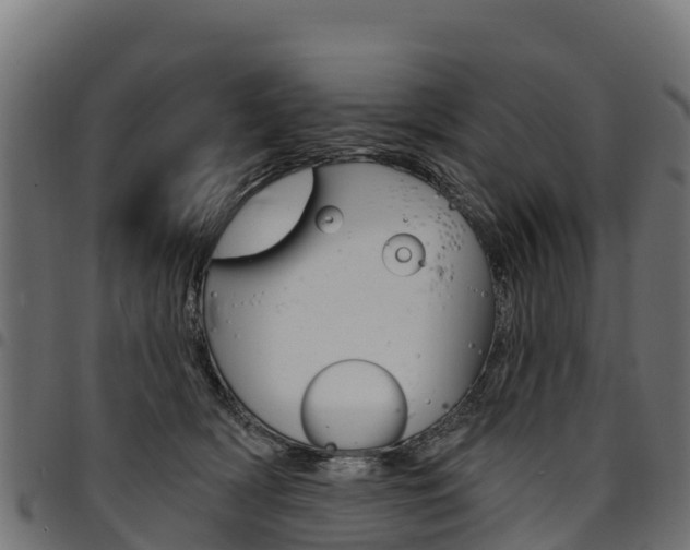 X0000094960418200711291132