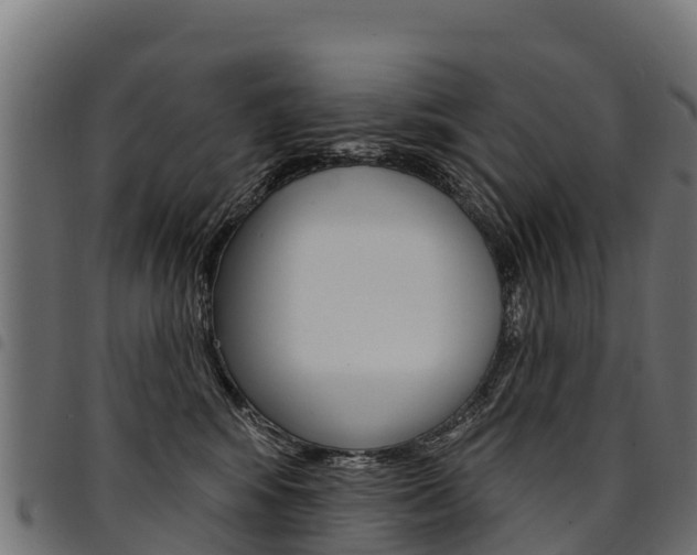 X0000094960424200711291132