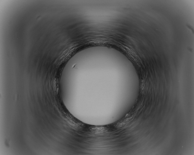 X0000094960428200711291132