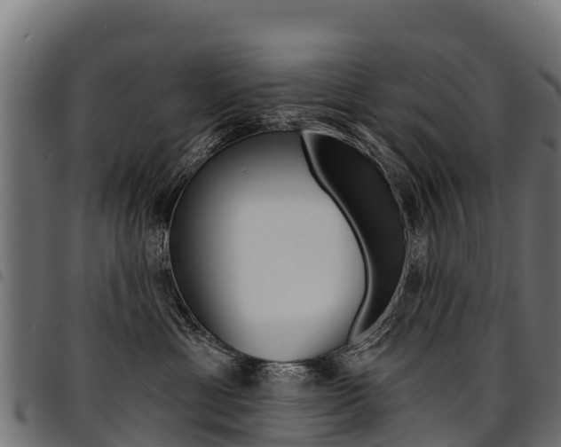 X0000094960429200711291132