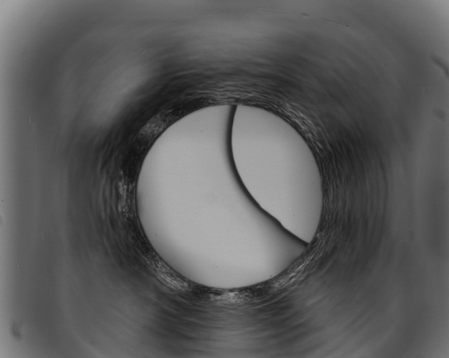 X0000094960430200711291132