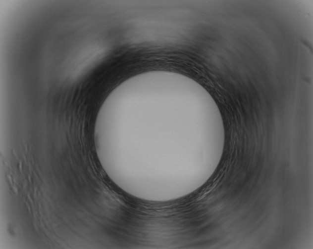 X0000094960431200711291132