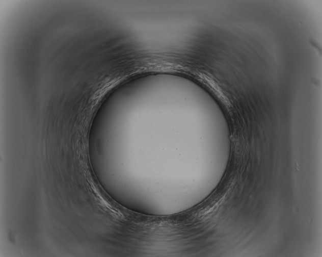 X0000094960433200711291131