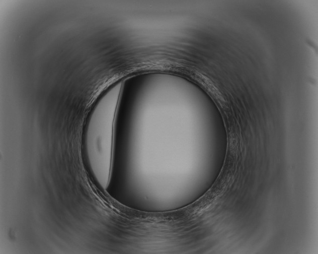 X0000094960434200711291131