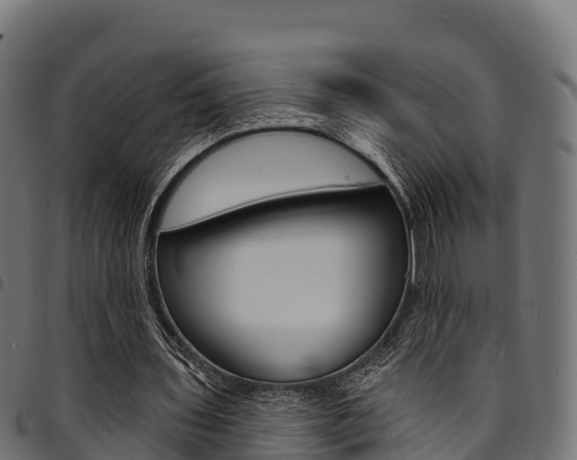 X0000094960435200711291131