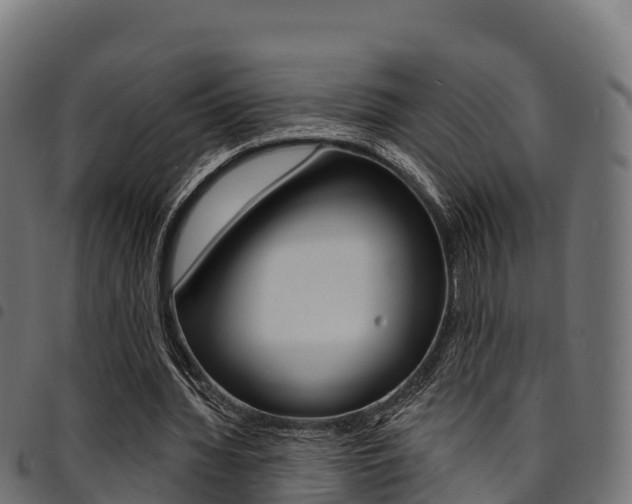 X0000094960436200711291131