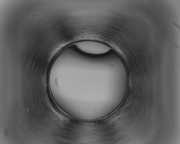X0000094960438200711291131