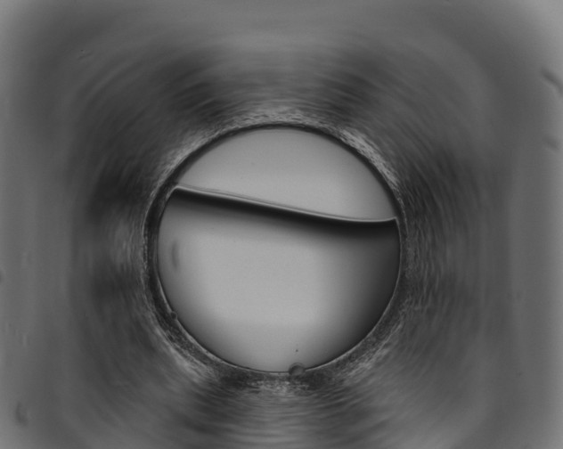 X0000094960439200711291131