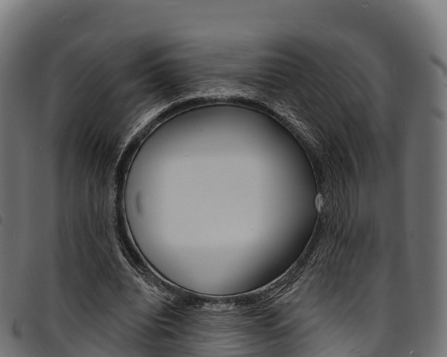 X0000094960440200711291131