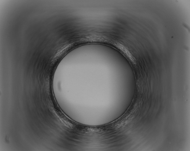 X0000094960442200711291131