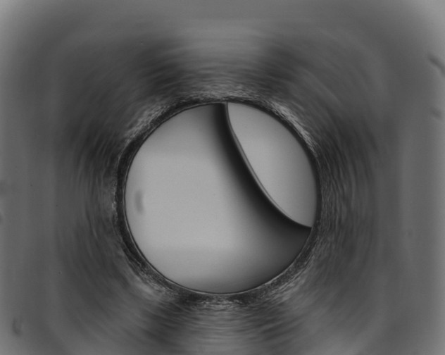 X0000094960443200711291131