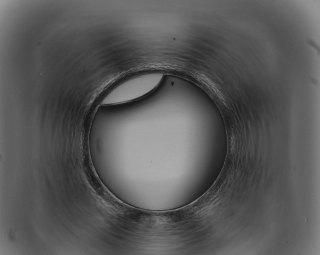 X0000094960444200711291131