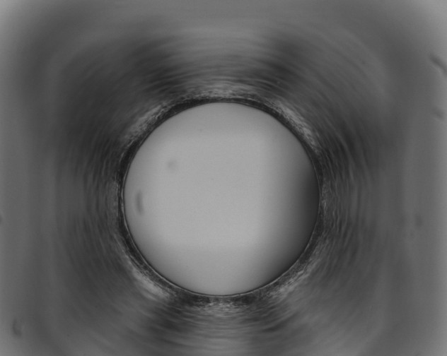 X0000094960445200711291131