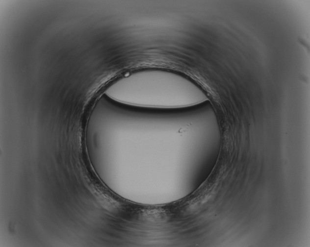 X0000094960446200711291131