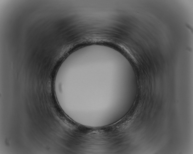 X0000094960447200711291131