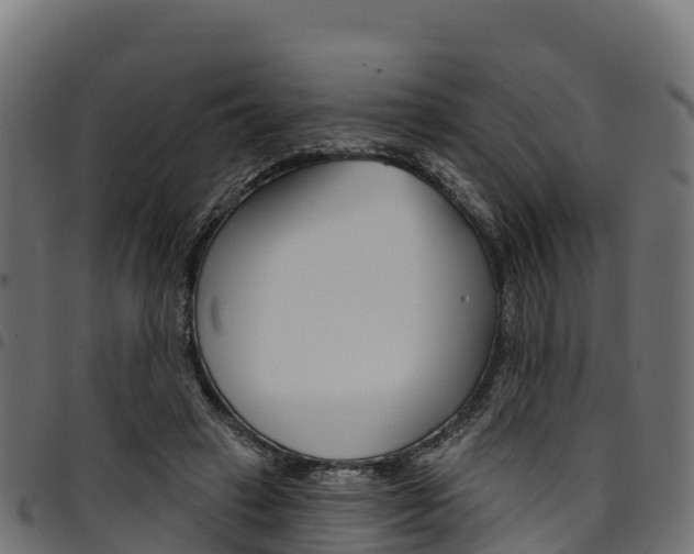 X0000094960449200711291131