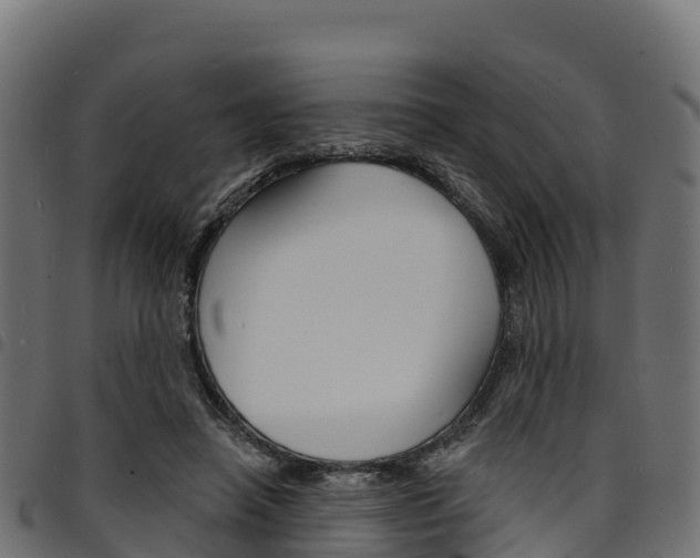X0000094960450200711291131