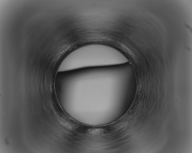 X0000094960452200711291131