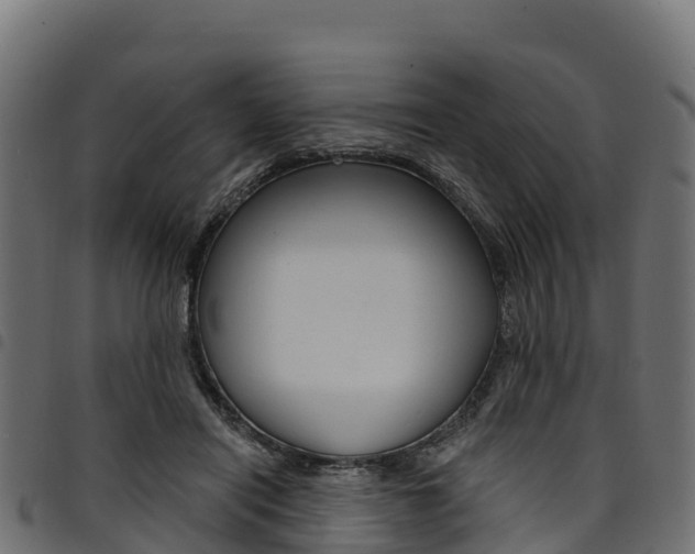 X0000094960454200711291131
