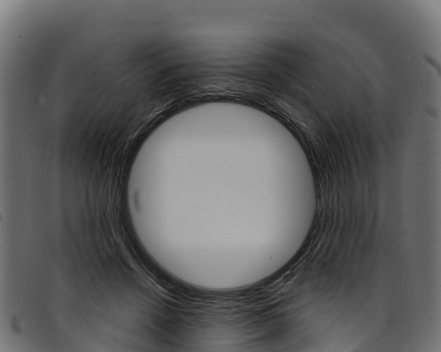 X0000094960456200711291131