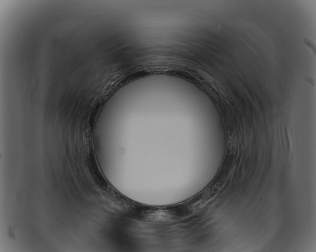 X0000094960460200711291132