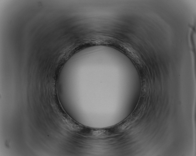 X0000094960461200711291132