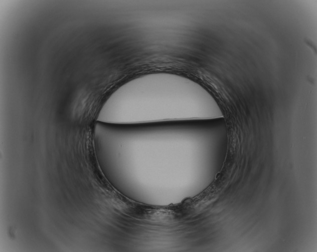 X0000094960463200711291132