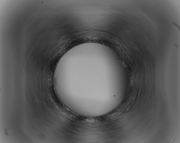 X0000094960464200711291132
