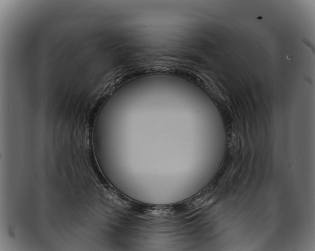 X0000094960466200711291132