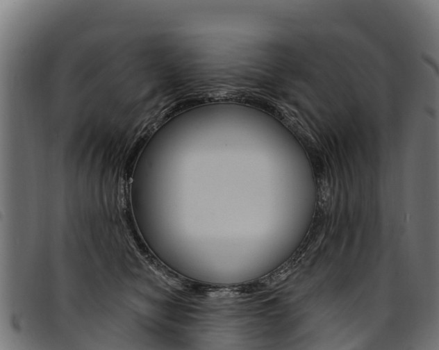 X0000094960470200711291132