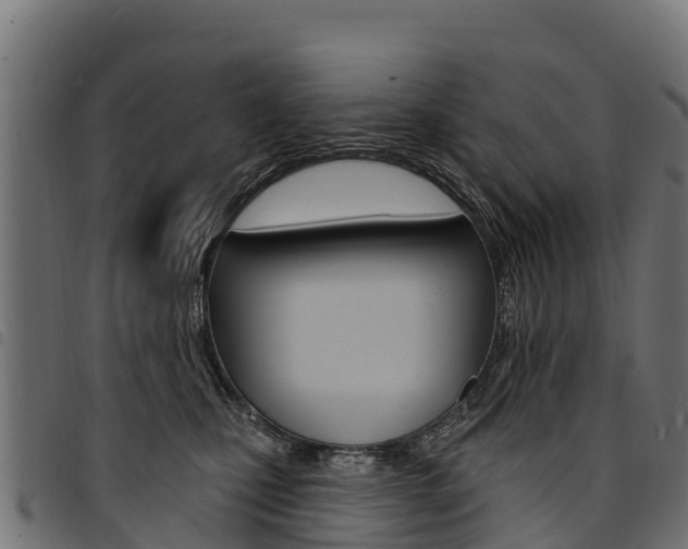 X0000094960471200711291132