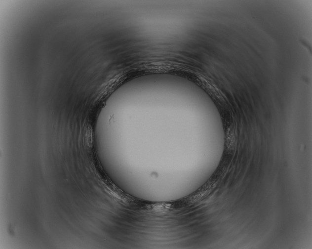 X0000094960474200711291132