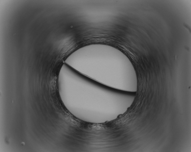 X0000094960475200711291132