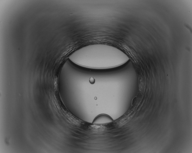 X0000094960477200711291132