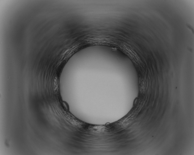 X0000094960478200711291132