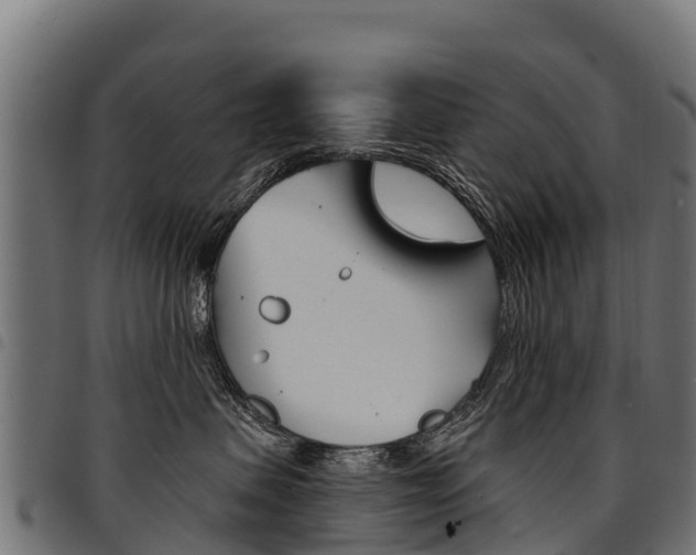 X0000094960479200711291132