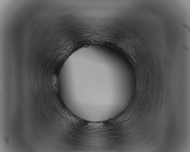 X0000094960480200711291132