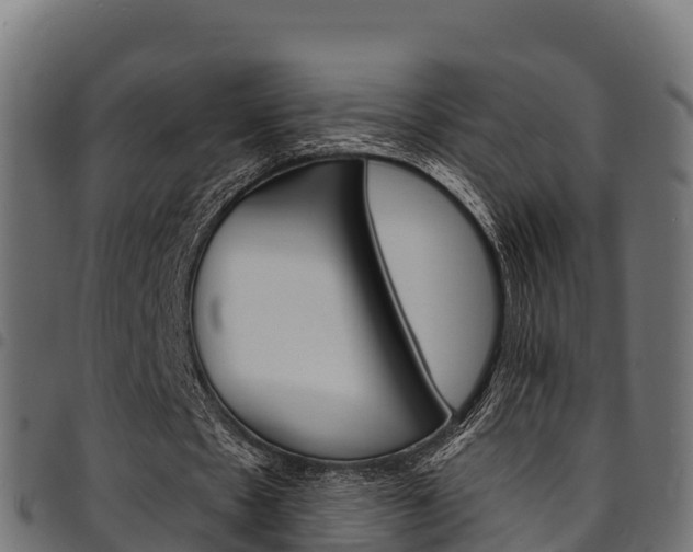 X0000094960481200711291131