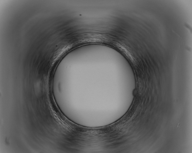 X0000094960482200711291131