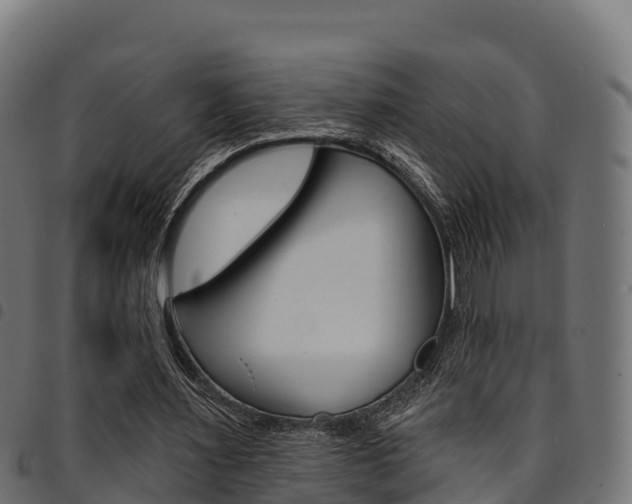 X0000094960483200711291131